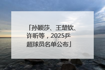 孙颖莎、王楚钦、许昕等，2025乒超球员名单公布