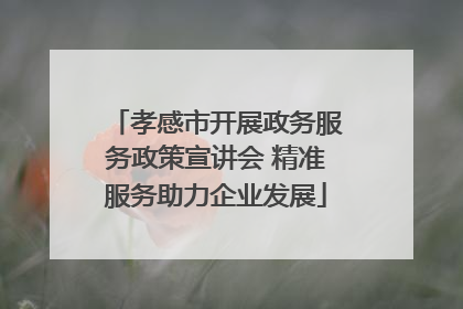 孝感市开展政务服务政策宣讲会 精准服务助力企业发展