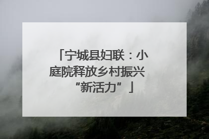 宁城县妇联：小庭院释放乡村振兴“新活力”