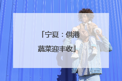 宁夏：供港蔬菜迎丰收