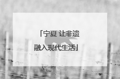 宁夏 让非遗融入现代生活