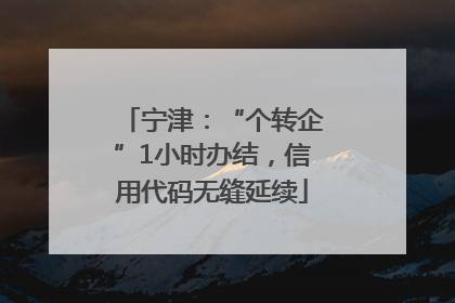 宁津：“个转企”1小时办结，信用代码无缝延续