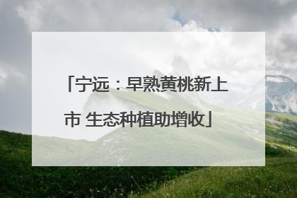 宁远：早熟黄桃新上市 生态种植助增收