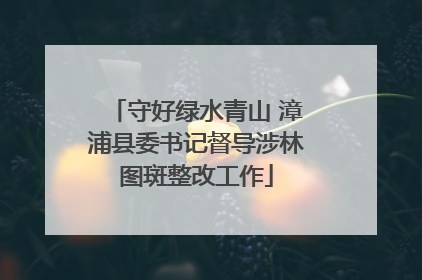 守好绿水青山 漳浦县委书记督导涉林图斑整改工作