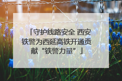 守护线路安全 西安铁警为西延高铁开通贡献“铁警力量”