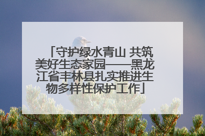 守护绿水青山 共筑美好生态家园——黑龙江省丰林县扎实推进生物多样性保护工作