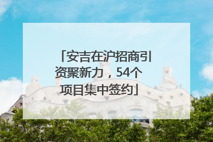 安吉在沪招商引资聚新力，54个项目集中签约