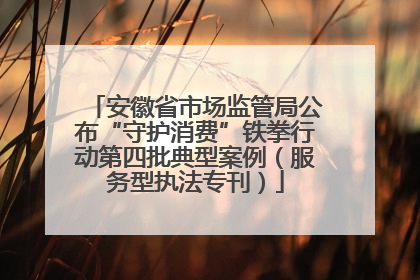 安徽省市场监管局公布“守护消费”铁拳行动第四批典型案例（服务型执法专刊）