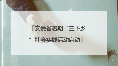 安徽省暑期“三下乡”社会实践活动启动