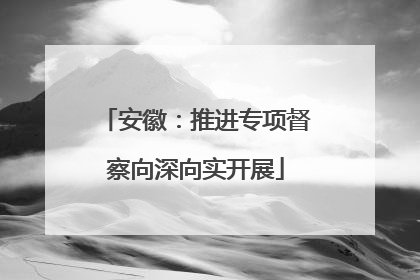 安徽：推进专项督察向深向实开展