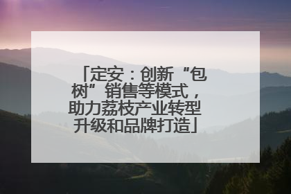 定安：创新“包树”销售等模式，助力荔枝产业转型升级和品牌打造