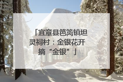 宜章县笆篱镇坦灵祠村：金银花开摘“金银”
