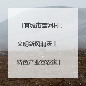 宜城市莺河村：文明新风润沃土 特色产业富农家
