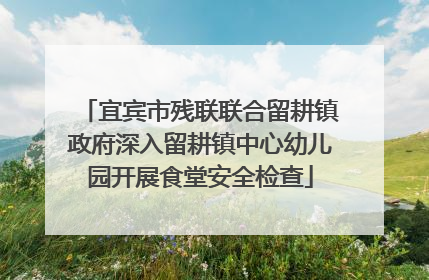 宜宾市残联联合留耕镇政府深入留耕镇中心幼儿园开展食堂安全检查