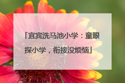 宜宾洗马池小学：童眼探小学，衔接没烦恼