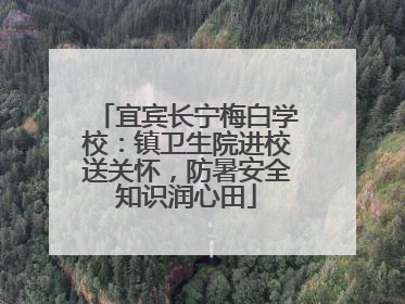 宜宾长宁梅白学校：镇卫生院进校送关怀，防暑安全知识润心田