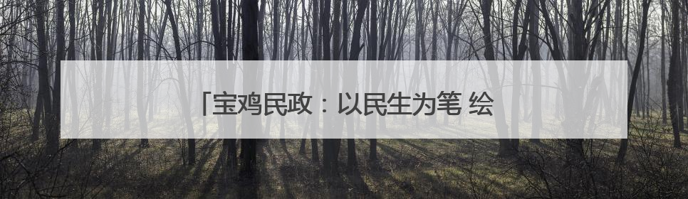 宝鸡民政：以民生为笔 绘就殡改与养老“温暖答卷”