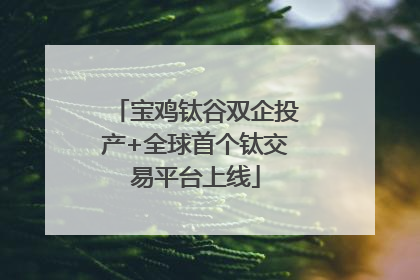 宝鸡钛谷双企投产+全球首个钛交易平台上线