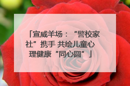 宣威羊场：“警校家社”携手 共绘儿童心理健康“同心圆”