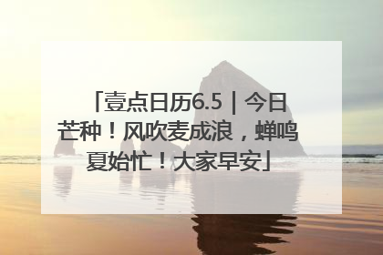 壹点日历6.5｜今日芒种！风吹麦成浪，蝉鸣夏始忙！大家早安