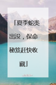 夏季蛇类出没，保命秘笈赶快收藏