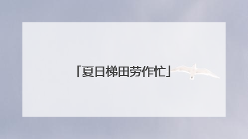夏日梯田劳作忙