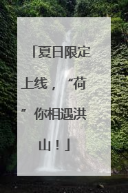 夏日限定上线，“荷”你相遇洪山！