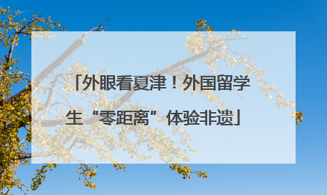 外眼看夏津！外国留学生“零距离”体验非遗
