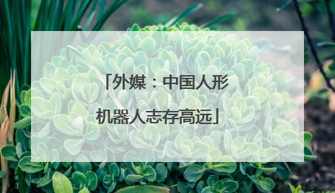 外媒：中国人形机器人志存高远