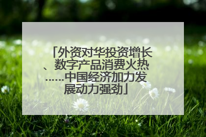 外资对华投资增长、数字产品消费火热……中国经济加力发展动力强劲