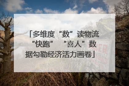 多维度“数”读物流“快跑” “喜人”数据勾勒经济活力画卷