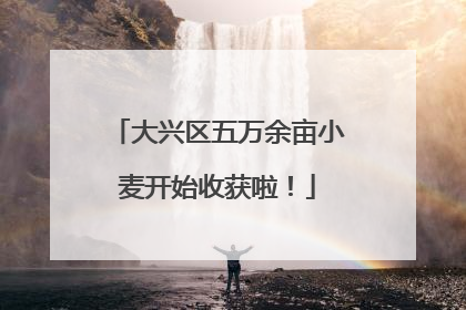 大兴区五万余亩小麦开始收获啦！