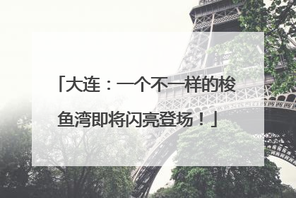 大连：一个不一样的梭鱼湾即将闪亮登场！