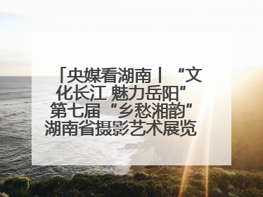 央媒看湖南丨“文化长江 魅力岳阳”第七届“乡愁湘韵”湖南省摄影艺术展览盛大启幕
