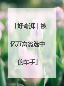好奇湃｜被亿万富翁选中的车手