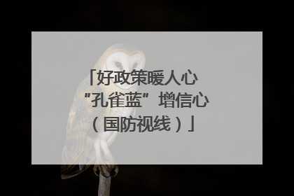 好政策暖人心 “孔雀蓝”增信心（国防视线）