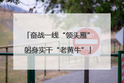 奋战一线“领头雁” 躬身实干“老黄牛”