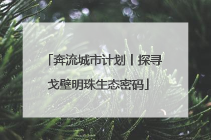 奔流城市计划丨探寻戈壁明珠生态密码
