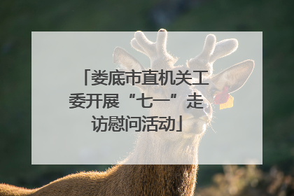 娄底市直机关工委开展“七一”走访慰问活动