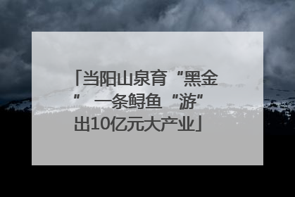 当阳山泉育“黑金” 一条鲟鱼“游”出10亿元大产业