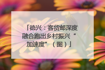 德兴：客货邮深度融合跑出乡村振兴“加速度”（图）