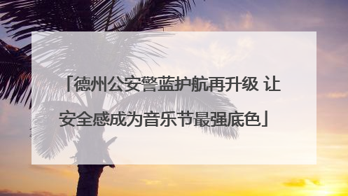 德州公安警蓝护航再升级 让安全感成为音乐节最强底色