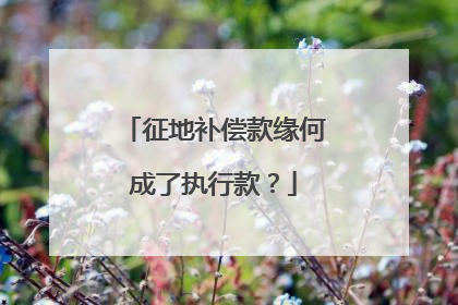 征地补偿款缘何成了执行款？