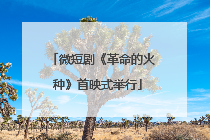 微短剧《革命的火种》首映式举行