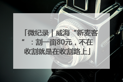 微纪录｜威海“新麦客”：割一亩80元，不在收割就是在收割路上