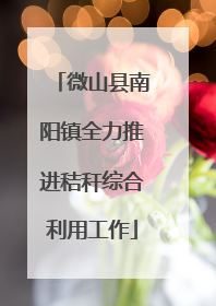 微山县南阳镇全力推进秸秆综合利用工作