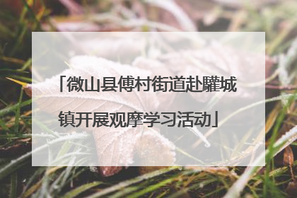 微山县傅村街道赴驩城镇开展观摩学习活动