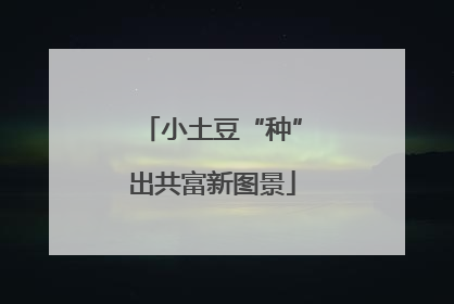 小土豆“种”出共富新图景