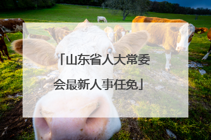 山东省人大常委会最新人事任免