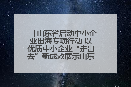 山东省启动中小企业出海专项行动 以优质中小企业“走出去”新成效展示山东产业发展新形象